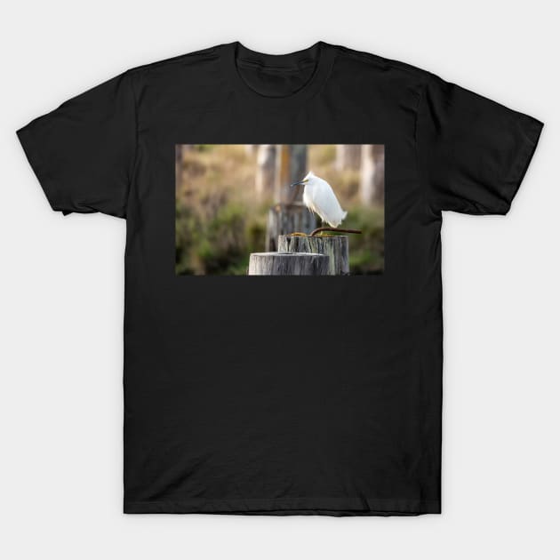 Snowy Egret on a Piling T-Shirt by JeffreySchwartz